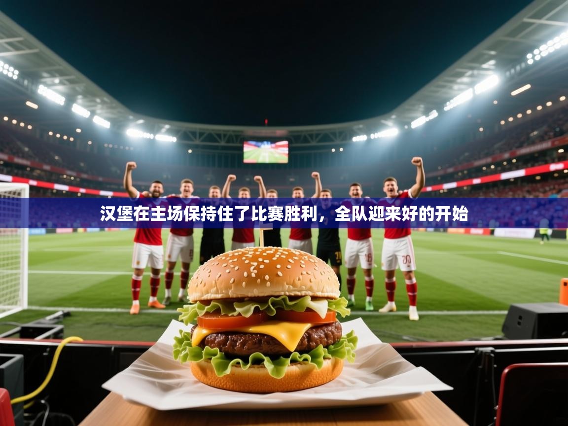 汉堡在主场保持住了比赛胜利，全队迎来好的开始  第1张