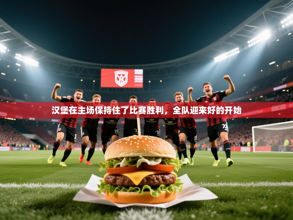 汉堡在主场保持住了比赛胜利，全队迎来好的开始  第2张
